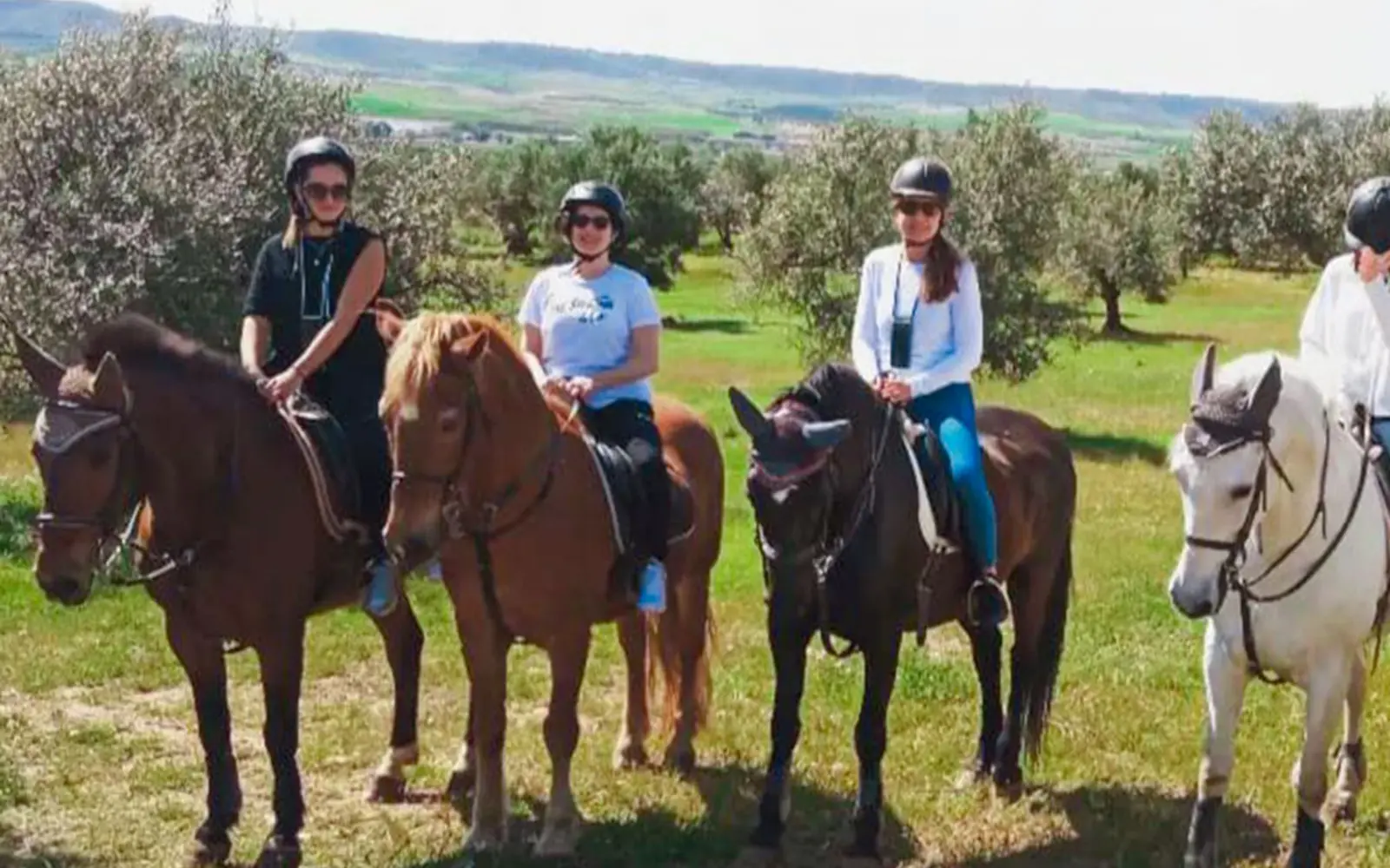 Rutas a caballo cerca de Madrid: cómo elegir entre 45, 60 y 120 minutos